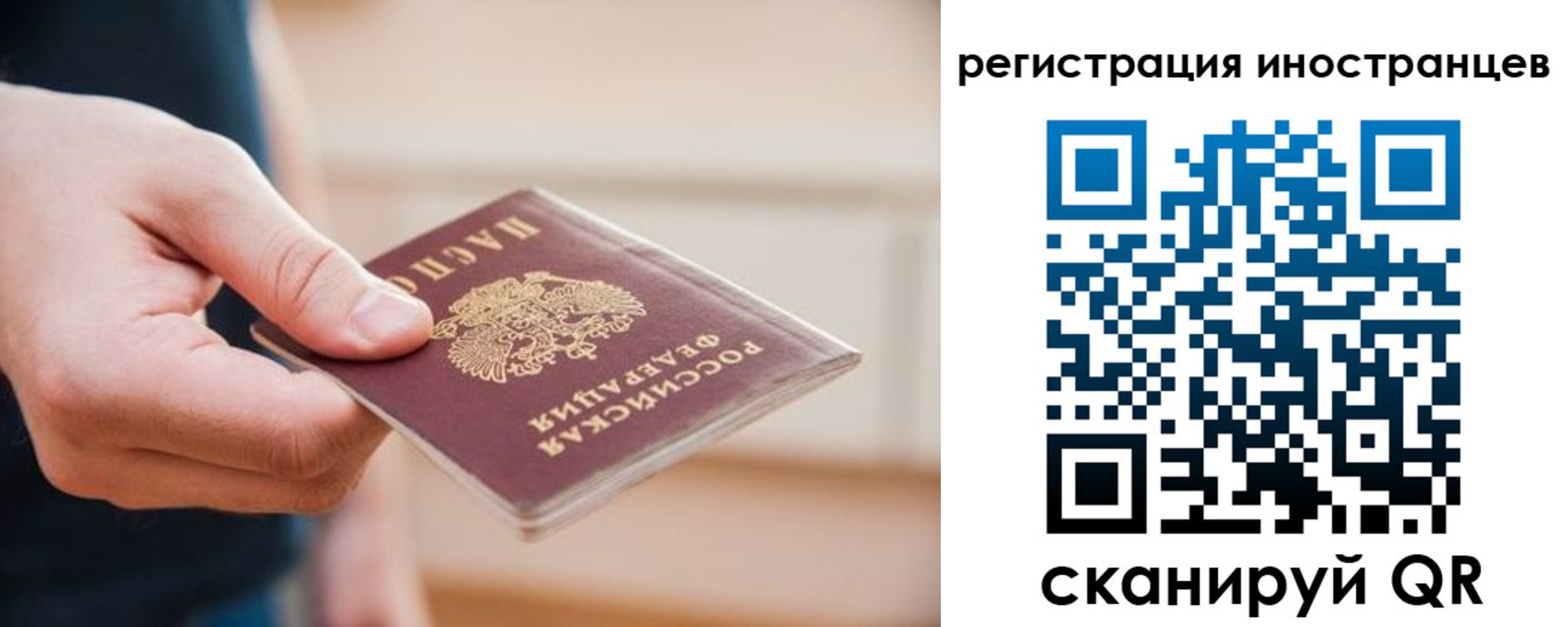 прописка гарантия в Коряжме